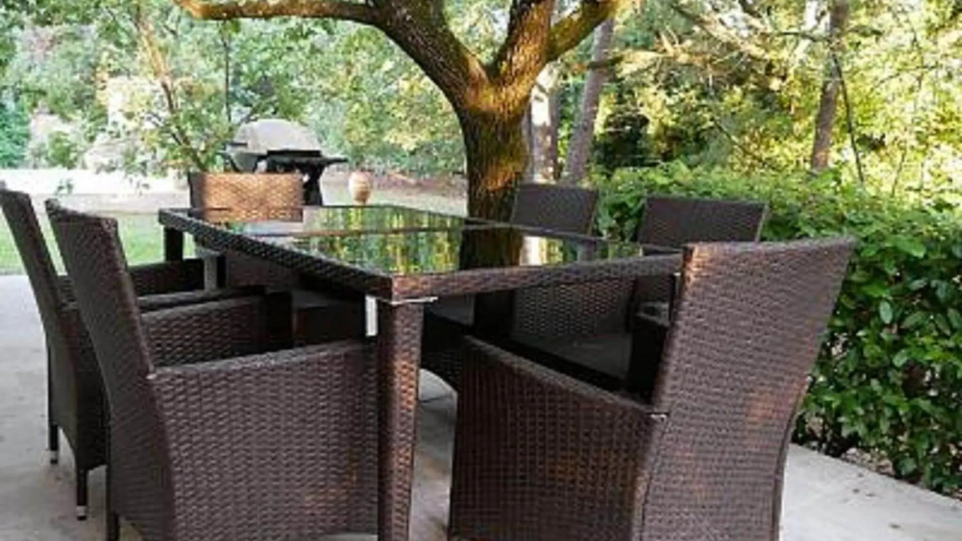 Provencal Villa With Swimming Pool And Shaded Park Draguignan Holiday home