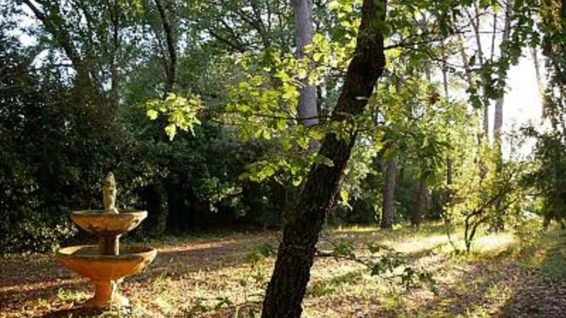 Holiday home Provencal Villa With Swimming Pool And Shaded Park Draguignan